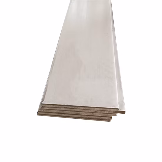 Ss 201 304 316 410 420 2205 316L 310S Edelstahl-Flachstange